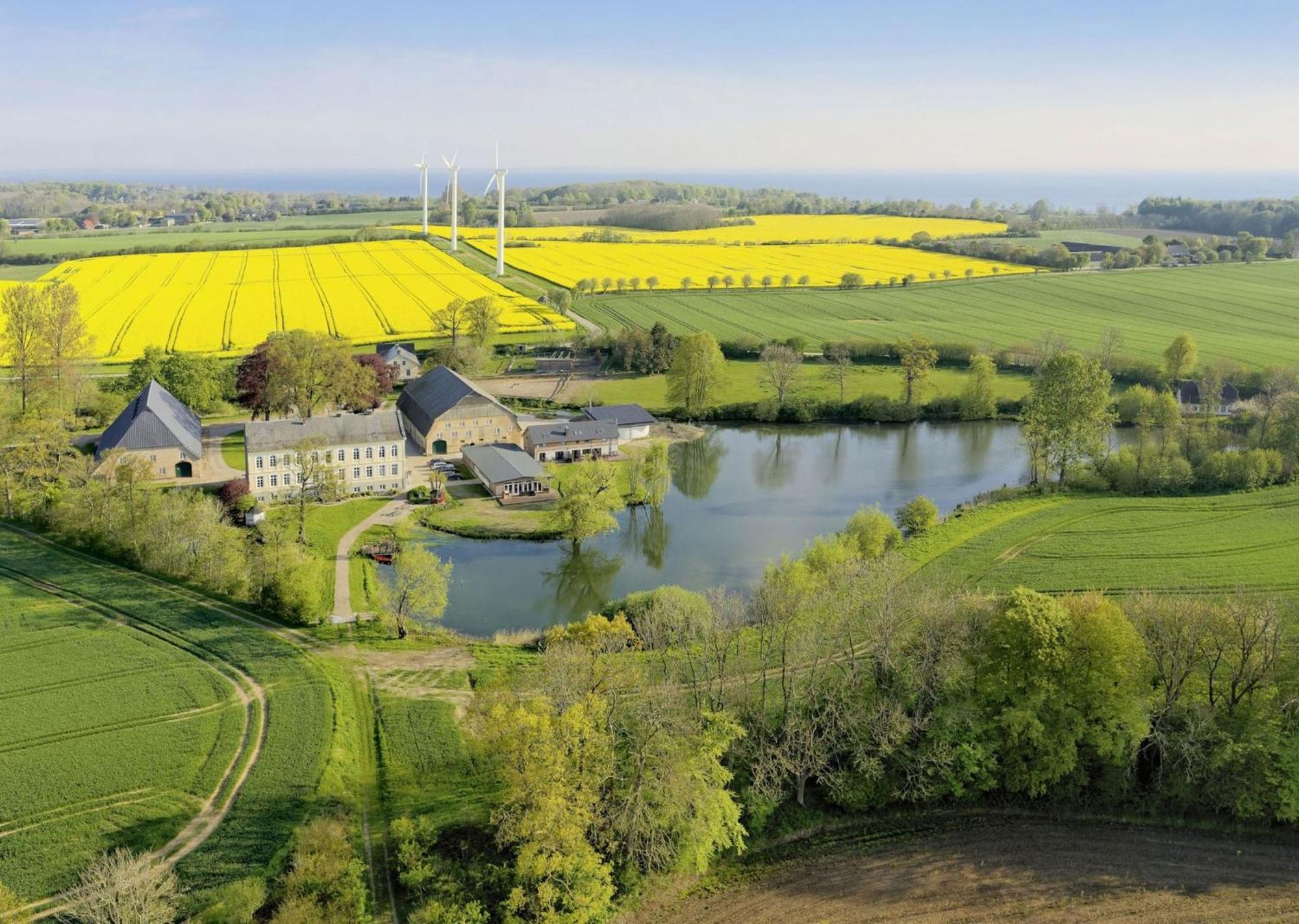 Ferienwohnungen Herrenhaus Gut Oestergaard 斯泰恩伯格 外观 照片